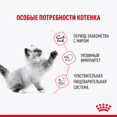 Влажный корм Royal Canin Kitten Sterilised, корм для стерилизованных котят в соусе, 28*85 г