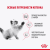 Влажный корм Royal Canin Kitten Sterilised, корм для стерилизованных котят в соусе, 28*85 г