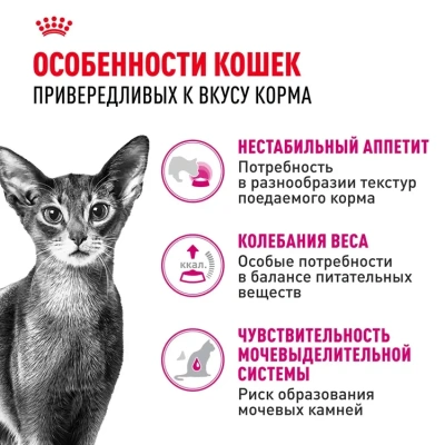 Royal Canin Savour Exigent Сухой корм для взрослых кошек привередливых к вкусу, 400 г