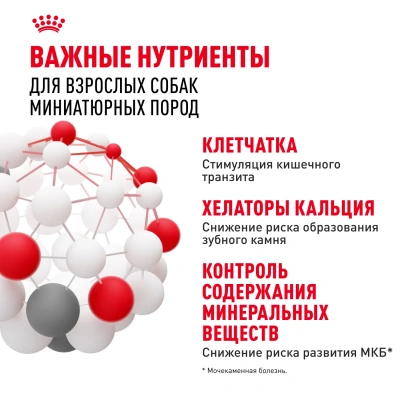 Royal Canin X-SMALL ADULT Сухой корм для взрослых собак мелких пород (до 4 кг), 500 г