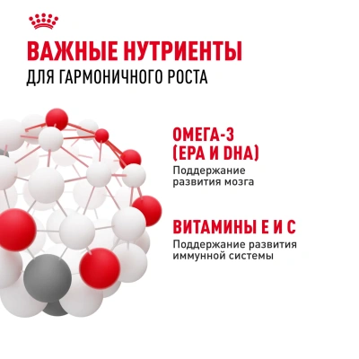 Royal Canin Kitten Консервированный корм для котят, кусочки в желе, 85 г