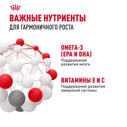 Royal Canin Kitten Консервированный корм для котят, кусочки в желе, 85 г