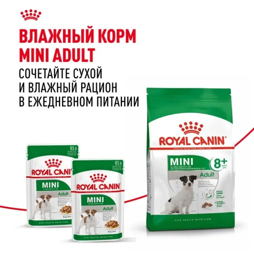 Сухой корм Royal Canin Adult Mini для пожилых собак мини пород 8+, 2 кг