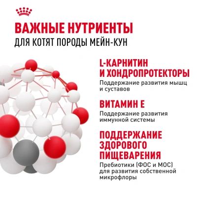 ROYAL CANIN Maine Coon Корм сухой для Котят породы Мейн-Кун, 400 г