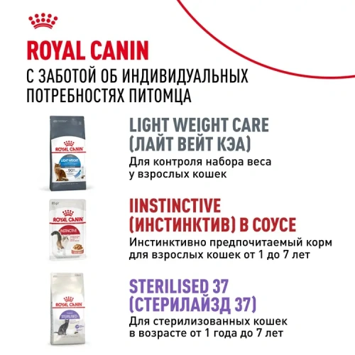 Royal Canin Indoor Sterilised Консервированный корм для домашних кошек, желе, 85 г