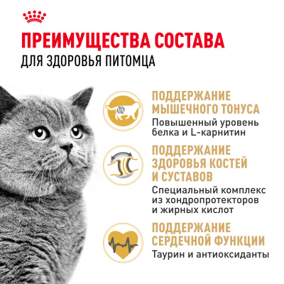 ROYAL CANIN British Shorthair Корм сухой для кошек породы Британская короткошерстная, 4 кг
