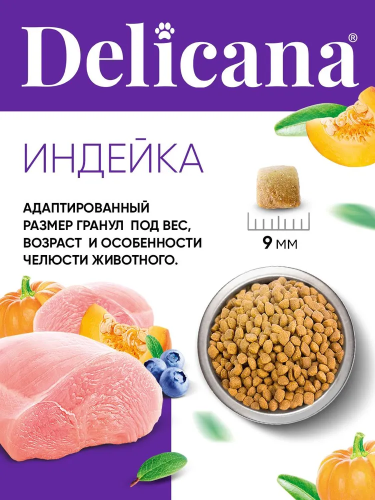Сухой корм DELICANA для кошек  с чувствительным пищеварением с индейкой 0,4 кг