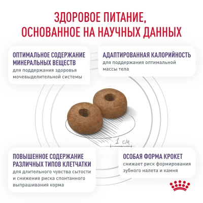 Сухой корм Royal Canin NEUTERED ADULT Small Dog, для стерилизованных собак мелких пород 0,8 кг
