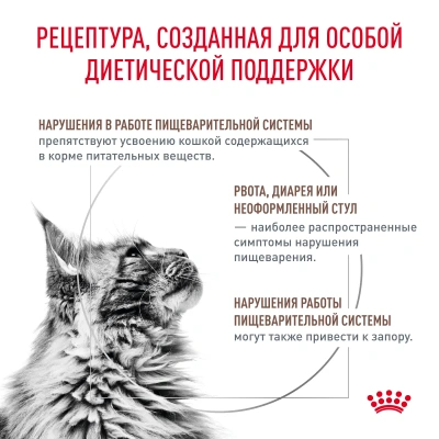 Royal Canin Gastrointestinal Fibre Response Сухой ветеринарный корм для кошек при запорах, 350 г