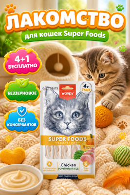  Лакомство для кошек «нежное пюре» из курицы с тыквой и кейлом 70 г Wanpy Cat 
