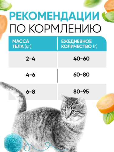 Сухой корм DELICANA для кошек с кроликом 0,4кг 