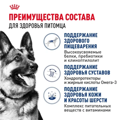 Сухой корм Royal Canin Maxi Adult для собак крупных пород старше 15 месяцев  3 кг