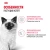 Влажный корм Royal Canin для котят ( 5 в соусе 5 в желе) 10*85г