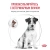 Royal Canin Gastrointestinal Low Fat Small Dog Сухой ветеринарный корм для мелких собак, 3 кг Royal Canin Gastrointestinal Low Fat Small Dog Сухой ветеринарный корм для мелких собак, 3 кг