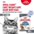 Влажный корм Royal Canin Light weight care для кошек при кошек при избыточном весе, желе 85г