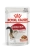 Влажный корм Royal Canin Instinctive для кошек, кусочки в соусе (28 паучей по 85 гр) Влажный корм Royal Canin Instinctive для кошек, кусочки в соусе (28 паучей по 85 гр)