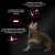 Сухой корм Pro Plan Cat Adult Sterilised для стерилизованных кошек с уткой и печенью - 1,5 кг