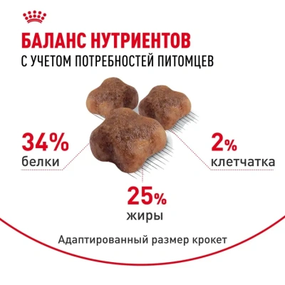 Сухой корм Royal Canin Mother & Babycat для котят до 4 мес. и для кошек в период беременности