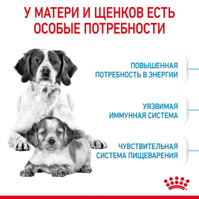 Сухой корм Royal Canin Medium Starter для щенков средних пород ,беременных и кормящих 4 кг