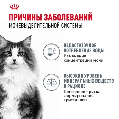 Влажный корм ROYAL CANIN Urinary Care для взрослых кошек при мочекаменной болезни в соусе пауч 85 г