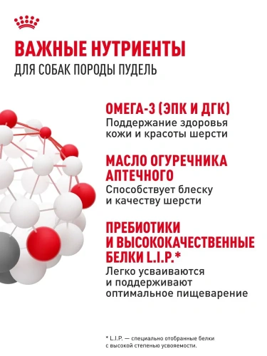 Сухой корм для собак породы пудель Royal Canin 1,5 кг