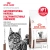 Сухой корм для кошек Royal Canin Gastrointestinal Hairball диетический корм для вывода шерсти  2 кг