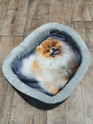 Лежанка с рисунком собаки, дизайн №4 (53*38*16) Rich Breed 