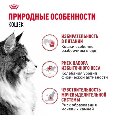 Влажный корм Royal Canin Instinctive для кошек, кусочки в желе (28 паучей по 85 гр)