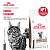 Сухой корм для кошек Royal Canin Hepatic Feline при болезнях печени - 2 кг