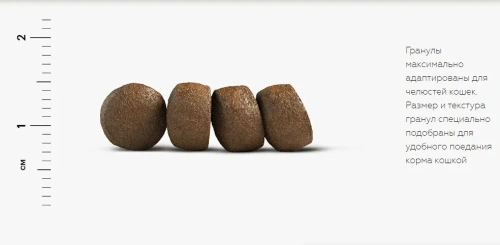 Сухой корм Аллева Холистик для взрослых кошек с океанической рыбой, коноплей и алое вера 1,5 кг