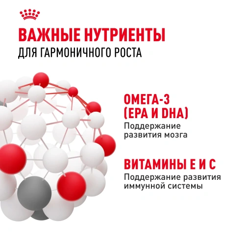 Royal Canin Консервированный корм для котят 4-12 месяцев, кусочки в соусе, 85 г