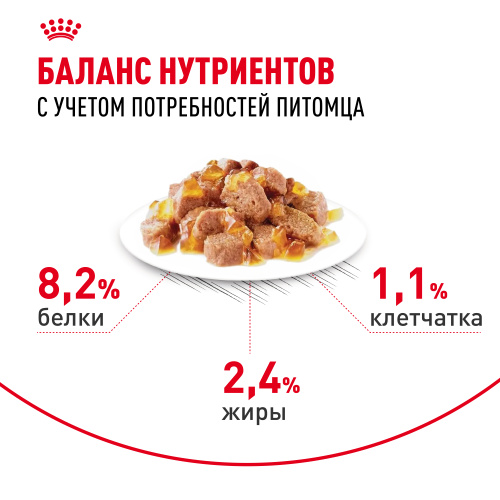 Влажный корм Royal Canin Appetite Control Care для кошек, контроль выпрашивания корма в желе, 85гр