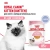 Royal Canin Kitten Консервированный корм для котят, кусочки в желе, 85 г