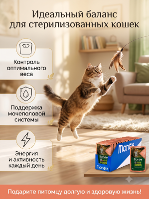Влажный корм для стерил. кошек, беззерн., лосось с креветк. и овощ., 28х85г. Monge BWild GRAIN FREE
