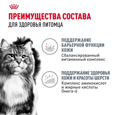 Royal Canin Intense Beauty Care Консервированный корм для кошек - красивая шерсть, соус, 85 г
