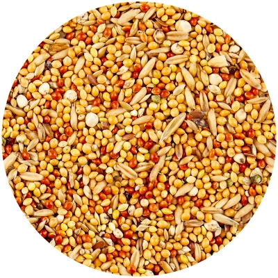 Хэппи Джангл J121 Корм для средних попугаев 900г