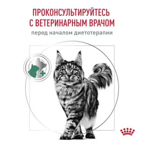 Royal Canin Veterinary Satiety Weight Management Сухой корм для кошек - снижение веса, 350 г