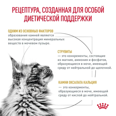 Royal Canin Urinary S/O Сухой корм для взрослых кошек, 350 г