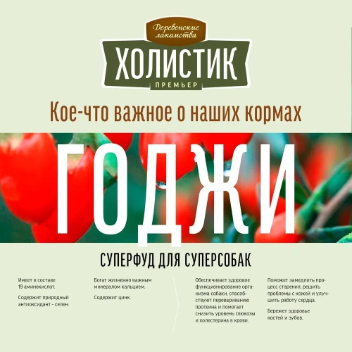 Сухой корм Деревенские лакомства Холистик Премьер для взрослых собак мини-пород индейка с рисом 1 кг