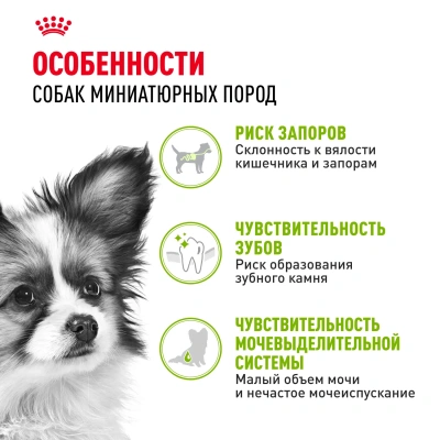 Royal Canin X-SMALL ADULT Сухой корм для взрослых собак мелких пород (до 4 кг), 500 г