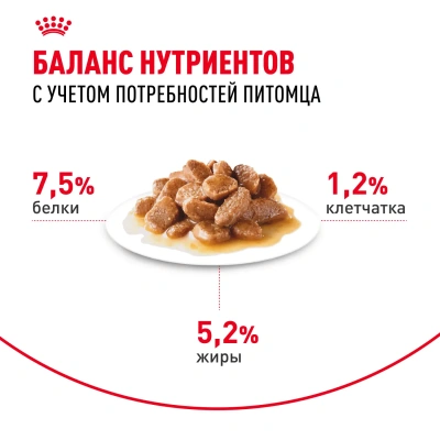 Влажный корм Royal Canin MINI ADULT для взрослых собак мелких пород 85 г