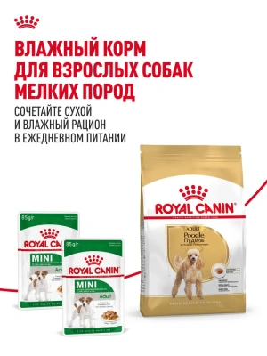 Сухой корм для собак породы пудель Royal Canin 1,5 кг
