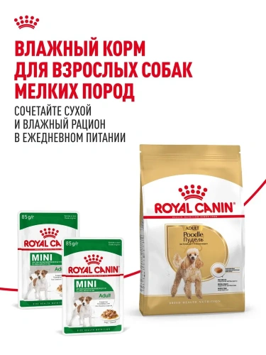 Сухой корм для собак породы пудель Royal Canin 1,5 кг