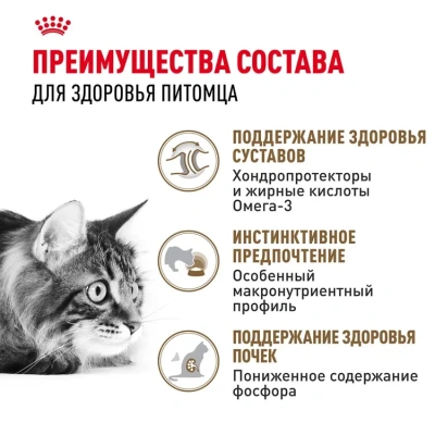 Royal Canin Ageing 12+ Консервированный корм для кошек старше 12 лет, кусочки в желе  85 г