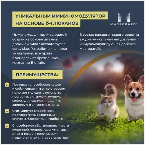 Сухой корм Mr.Buffalo для котят Курица 10кг