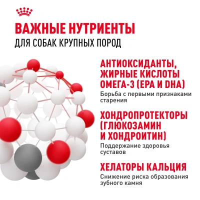 Сухой корм ROYAL CANIN MAXI ADULT 5+ для собак крупных пород старше 5 лет 4 кг