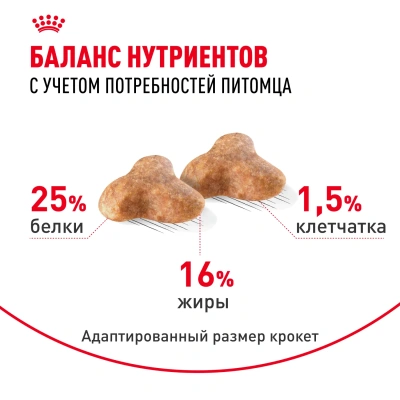 Сухой корм для собак Royal Canin породы Мопс 500 г