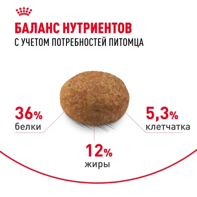 Royal Canin Sterilised 7+ Сухой корм для пожилых стерилизованных кошек 7-12 лет, 400 г