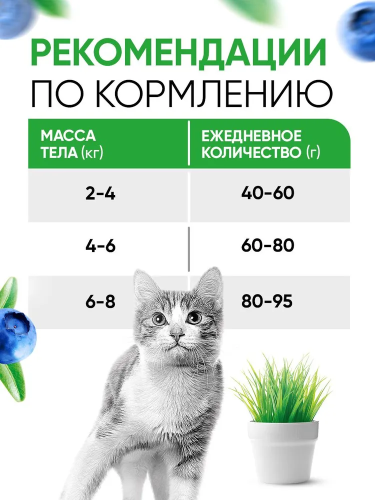 Сухой корм DELICANA для кошек с ягненком 0,4 кг 