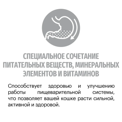 Сухой корм Карми Main Coon Kitten для котят, беременных и кормящих кошек Индейка 400г